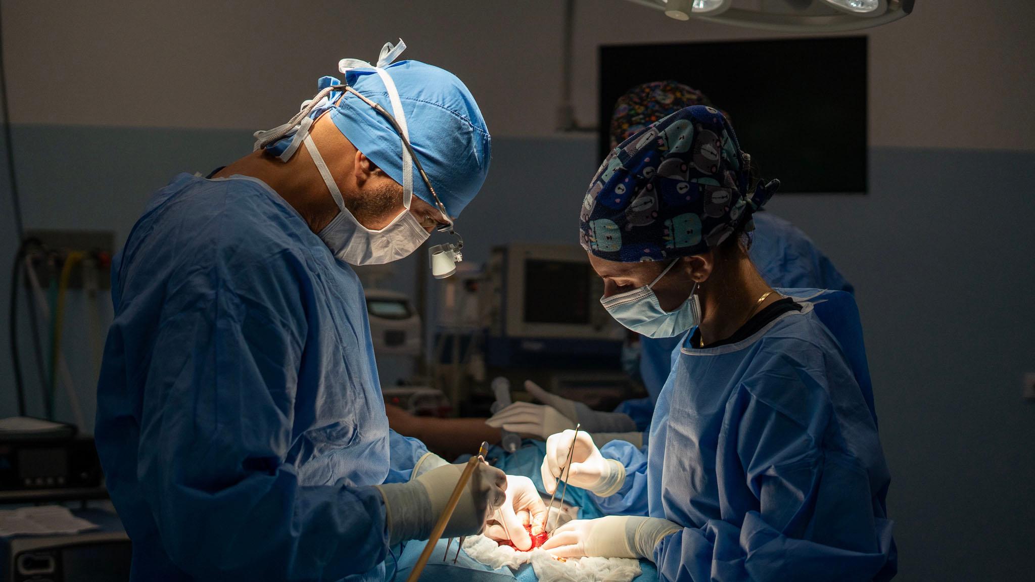 Veterinario con animale